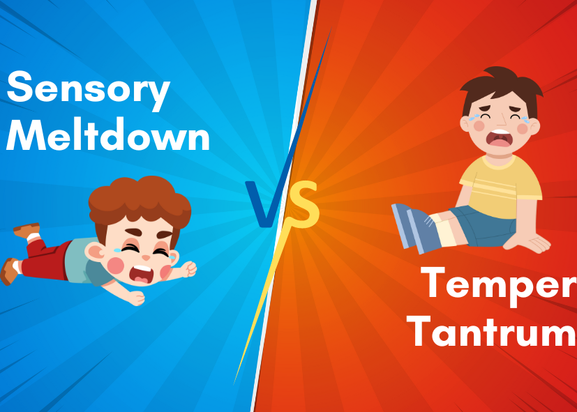 Comparing Meltdowns and Tantrums